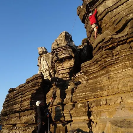 롯지 Shark's 발리알