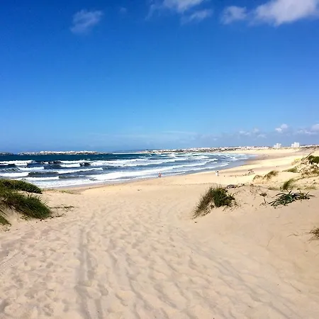 Alojamento de Turismo Selvagem Shark's Baleal