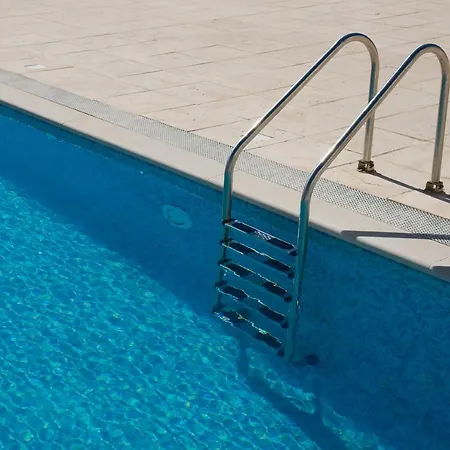 Shark's 롯지 발리알